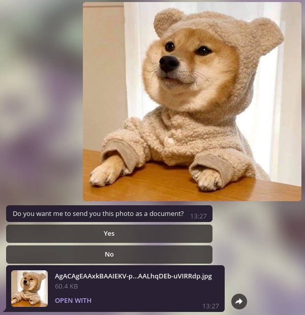 this image cannot be displayed